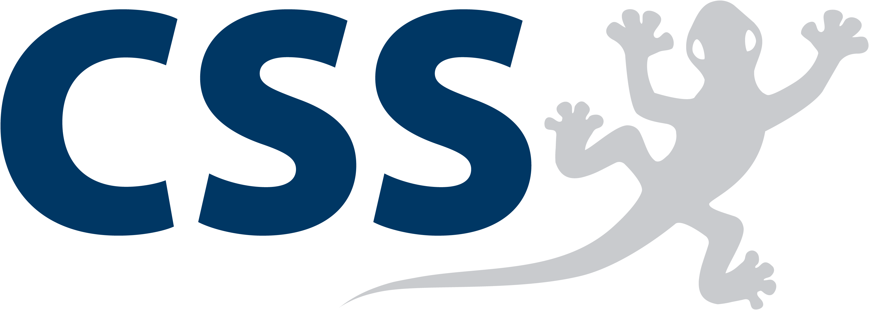 CSS